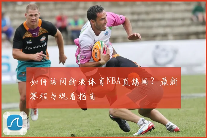 如何访问新浪体育NBA直播间？最新赛程与观看指南