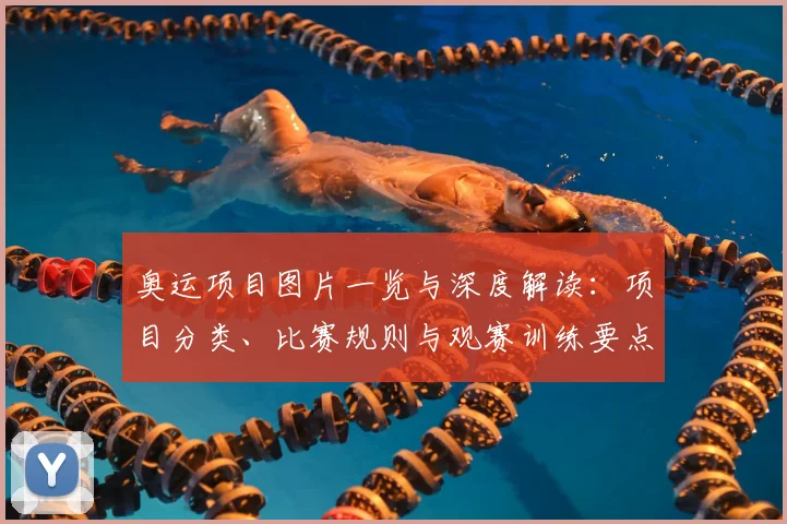 奥运项目图片一览与深度解读：项目分类、比赛规则与观赛训练要点